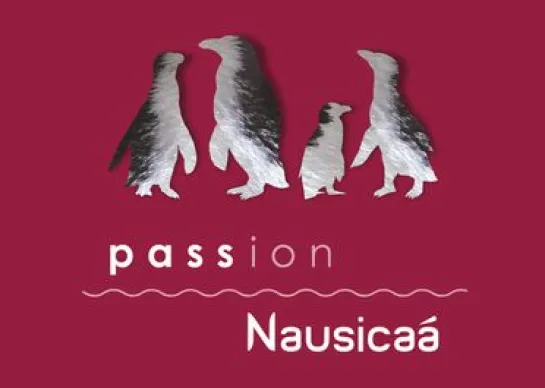 Passion Nausicaá card