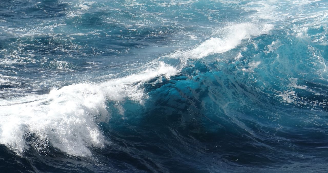 Qu'est-ce que la haute mer ? | Nausicaa