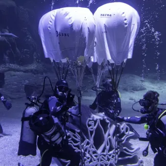 Module Lineup ocean dans le grand bassin de nausicaa