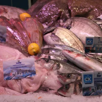 étal de poissonnier avec des poissons MrGoodfish