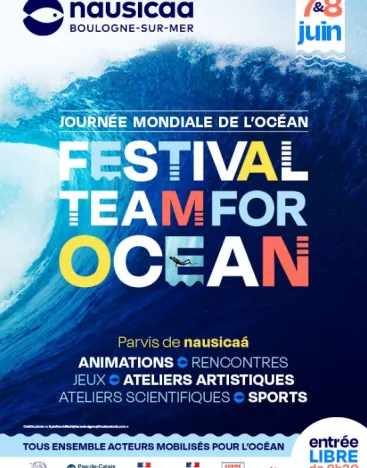 affiche festival team for ocean