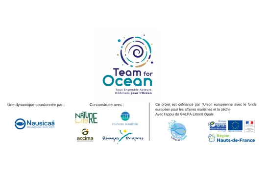 partners of the team for ocean project