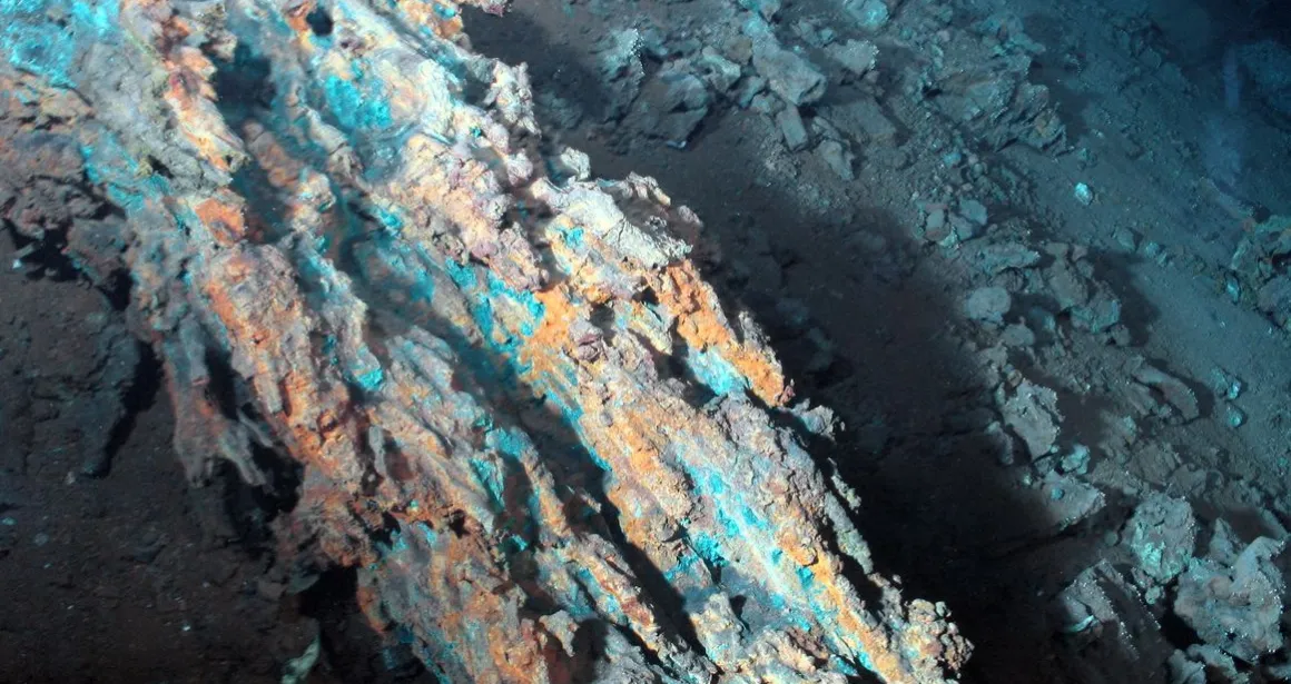 IFREMER (2007). Morceaux de sulfures du site hydrothermal Logatchev. Ifremer. https://image.ifremer.fr/data/00556/66816/