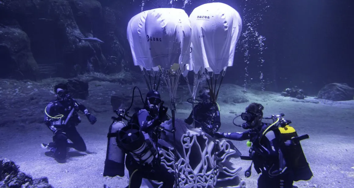 Module Lineup ocean dans le grand bassin de nausicaa