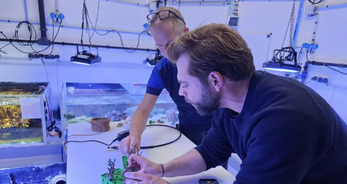 corail résilience à Nausicaa