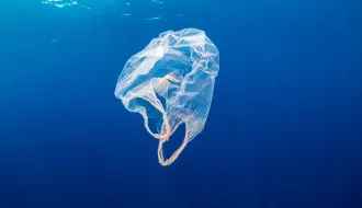 Sac plastique en mer
