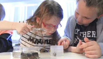 Enfants en animation pédagogique à Nausicaa