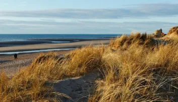 baie saint jean ambleteuse