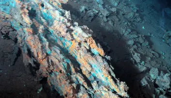 IFREMER (2007). Morceaux de sulfures du site hydrothermal Logatchev. Ifremer. https://image.ifremer.fr/data/00556/66816/