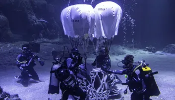 Module Lineup ocean dans le grand bassin de nausicaa