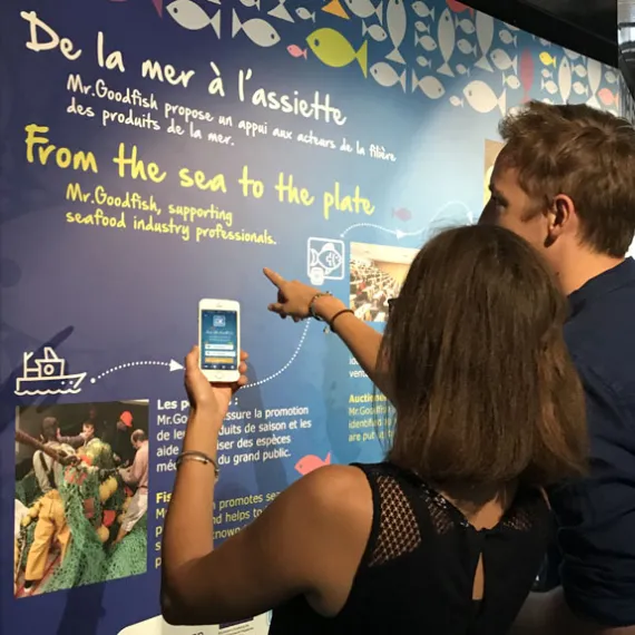 Application MrGoodfish