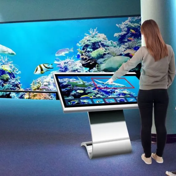 prjet Pictum par VISIOON