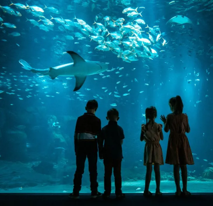 Children in front of the big tank of the high seas in Nausicaa