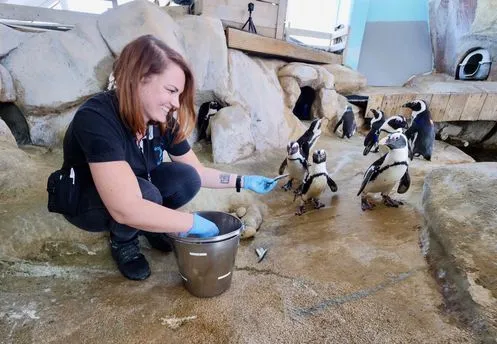 Constance with penguins
