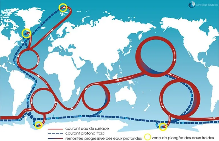 illustration de la circulation océanique