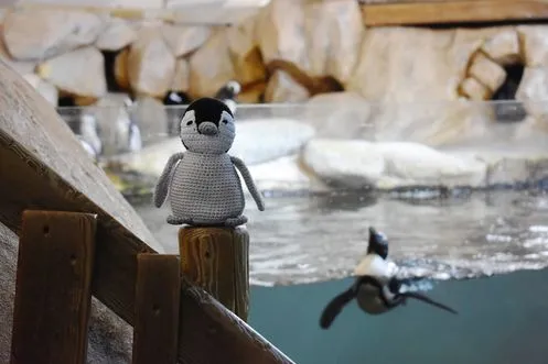 malo le manchot DIY Phildar