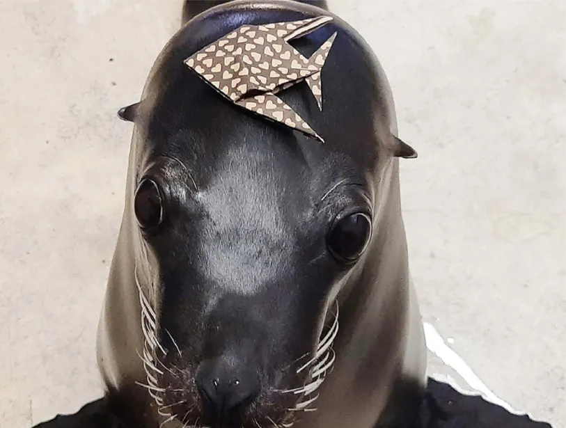 Origami poisson ange