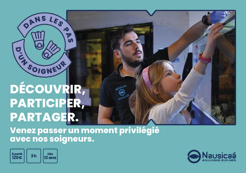Affiche de présentation de l'expérience Dans les pas d'un soigneur
