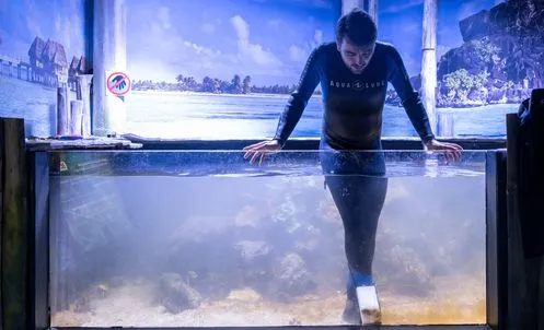 Soigneur lave aquarium 