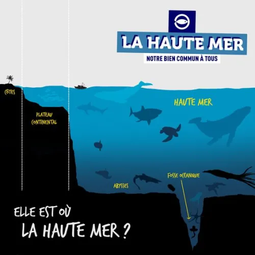infographie sur la haute mer