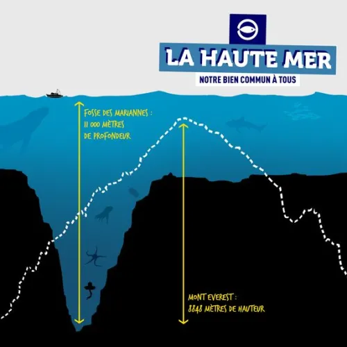 infographie sur la haute mer