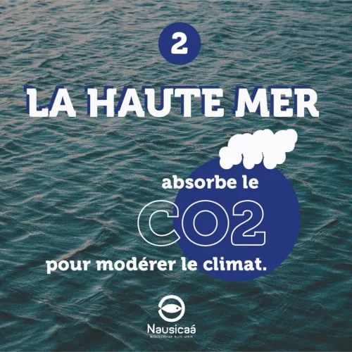 infographie sur la haute mer