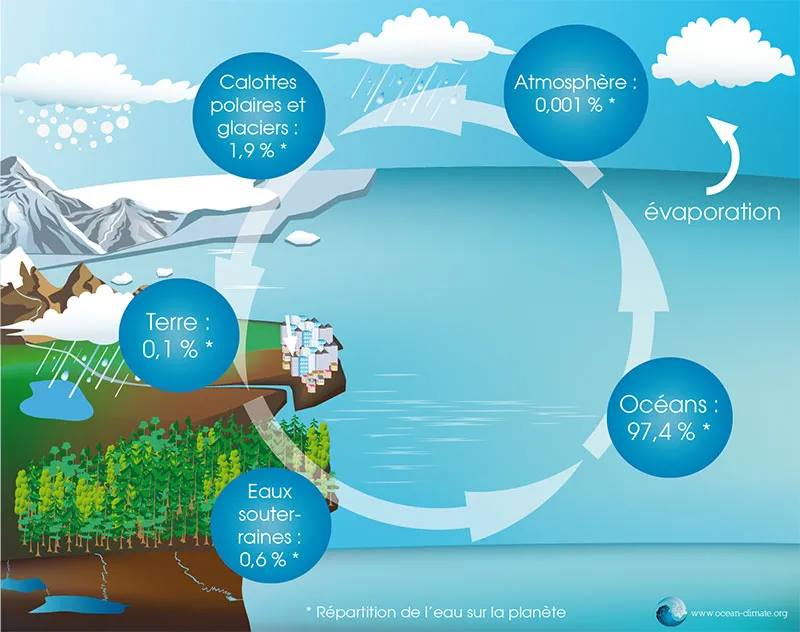 Cycle de l'eau  en infographie par la Plateforme Océan & Climat (POC)  