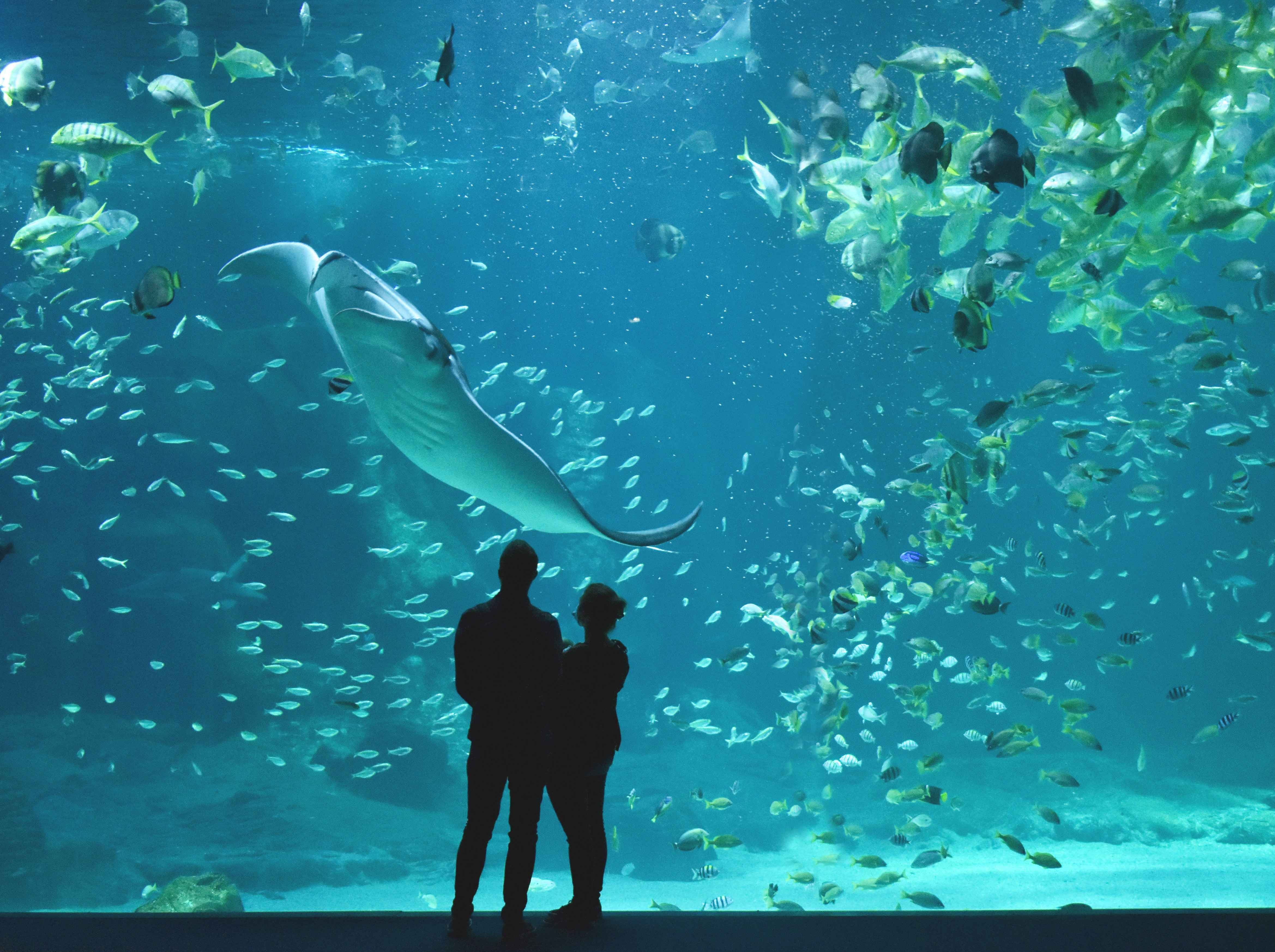 Voyage en Haute Mer