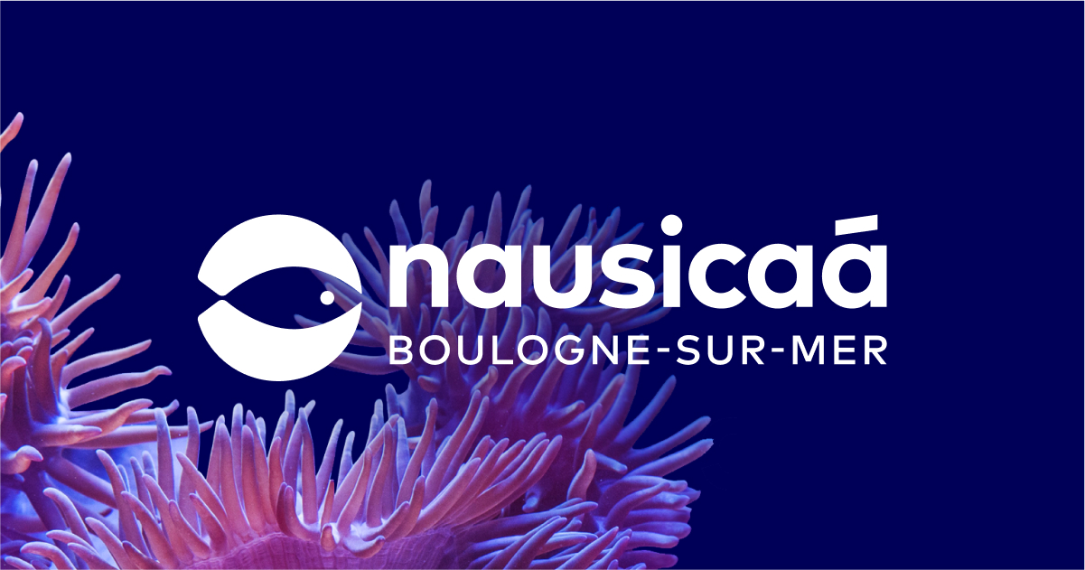(c) Nausicaa.fr